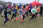 Start of the under-13 girls, NEHL, Prudhoe.